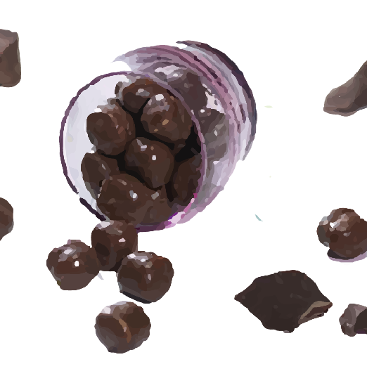 Boules de Soja Enrobage Saveur Chocolat
